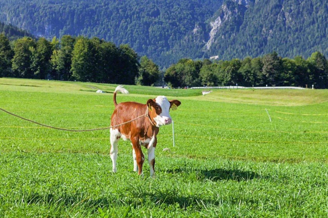 Triembachhof *