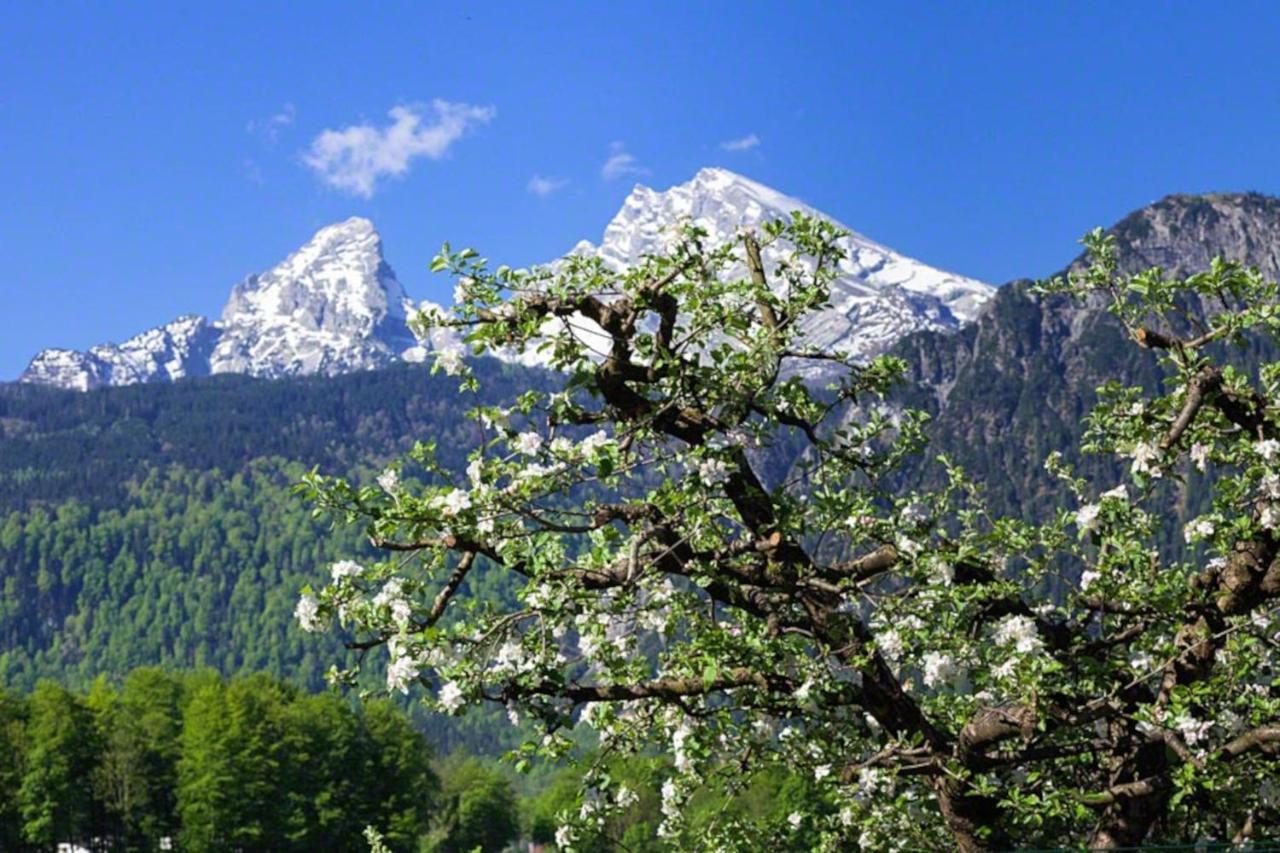 Triembachhof *